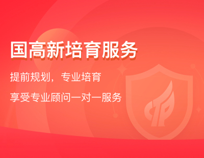 国高新培育服务